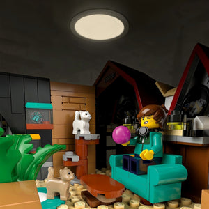 LEGO figure sitting on a teal couch with a dog and cat in a cozy room setting.