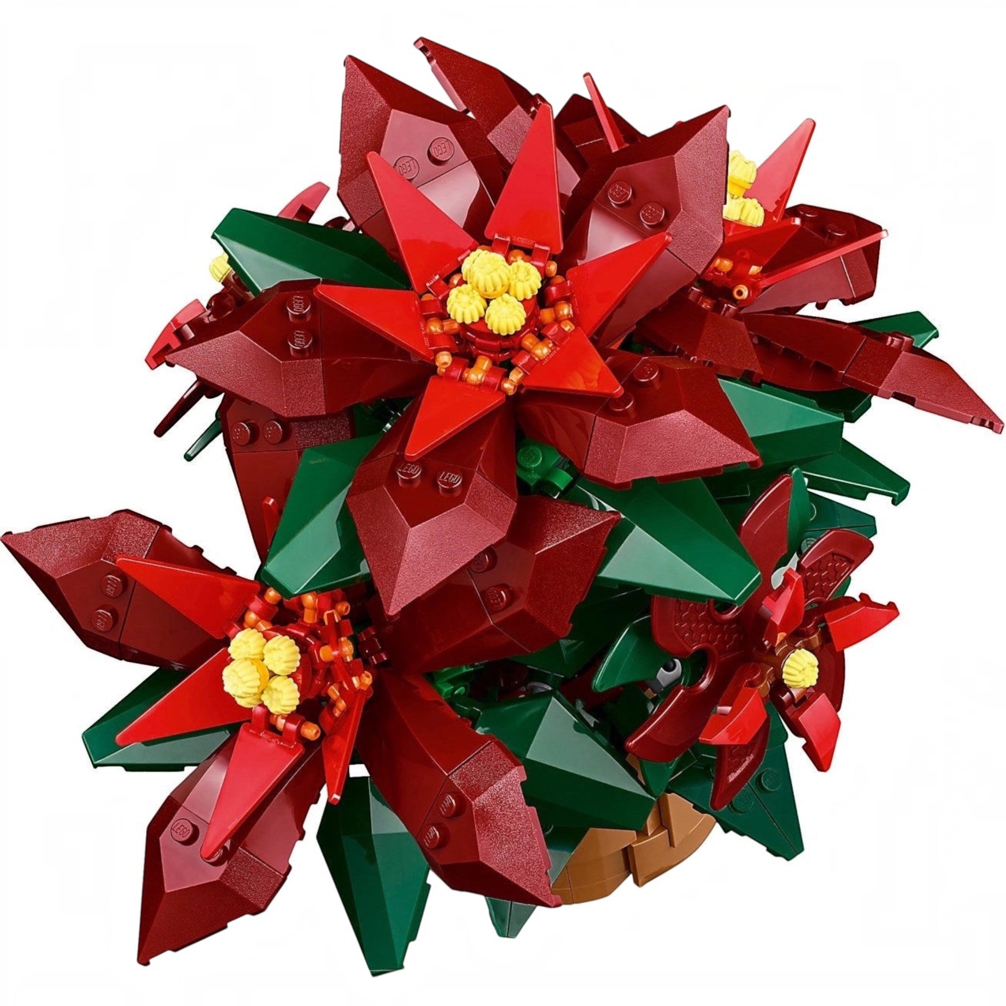 LEGO poinsettia flower on a white background