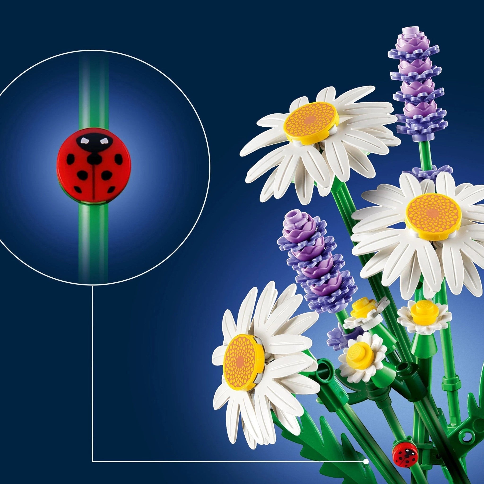 A Brick Apart LEGO Botanicals Daisies set featuring white daisies, purple lavender, green stems, and a red ladybug.