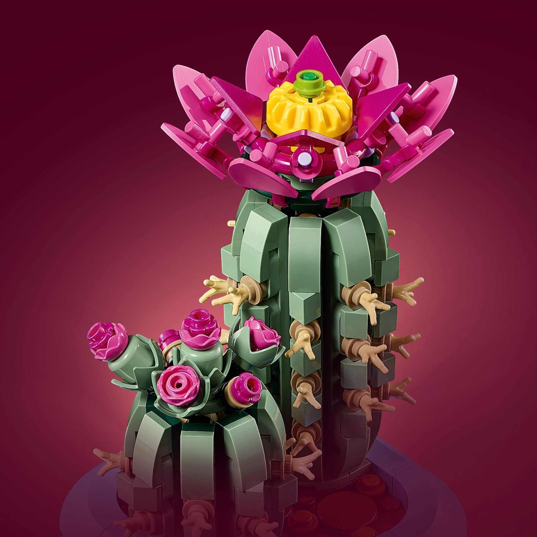 A Brick Apart LEGO Botanicals Flowering Cactus set featuring two green cacti with vibrant pink flowers in a blue pot.