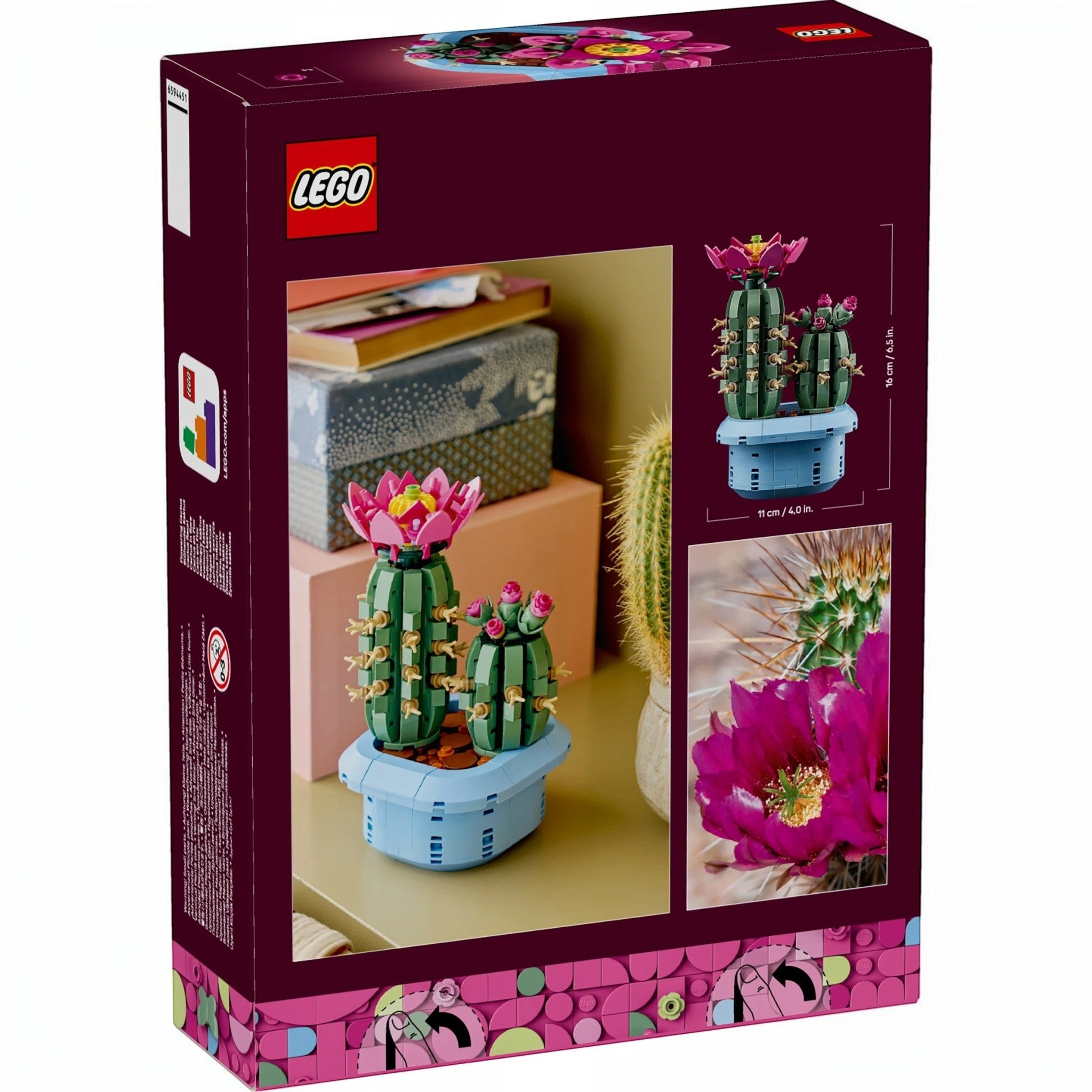 A Brick Apart LEGO Botanicals Flowering Cactus set box showing two green cacti with pink flowers in a blue pot.