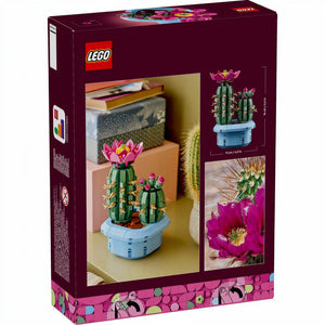 A Brick Apart LEGO Botanicals Flowering Cactus set box showing two green cacti with pink flowers in a blue pot.