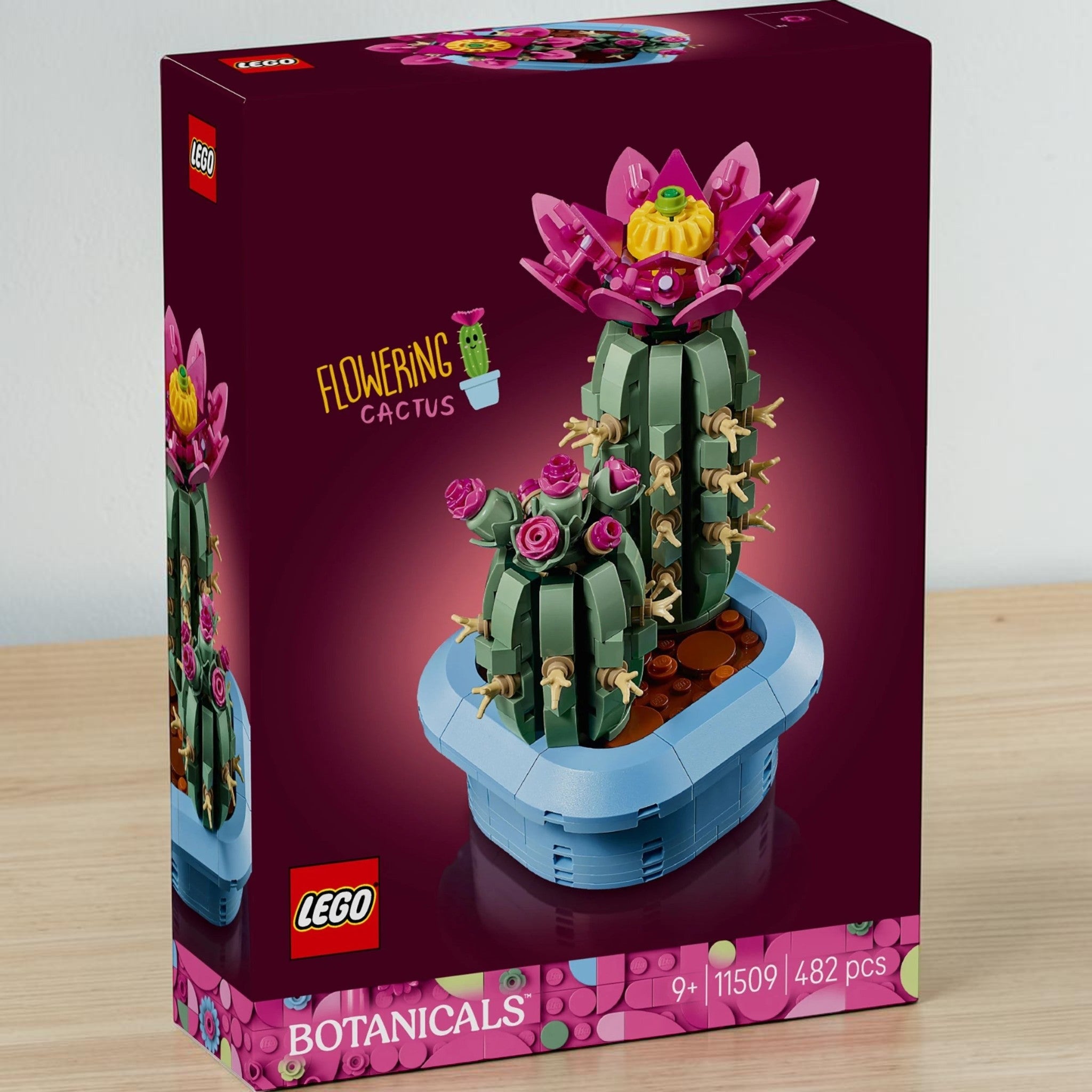 A Brick Apart LEGO Botanicals Flowering Cactus set box featuring two green cacti with pink flowers in a blue pot.