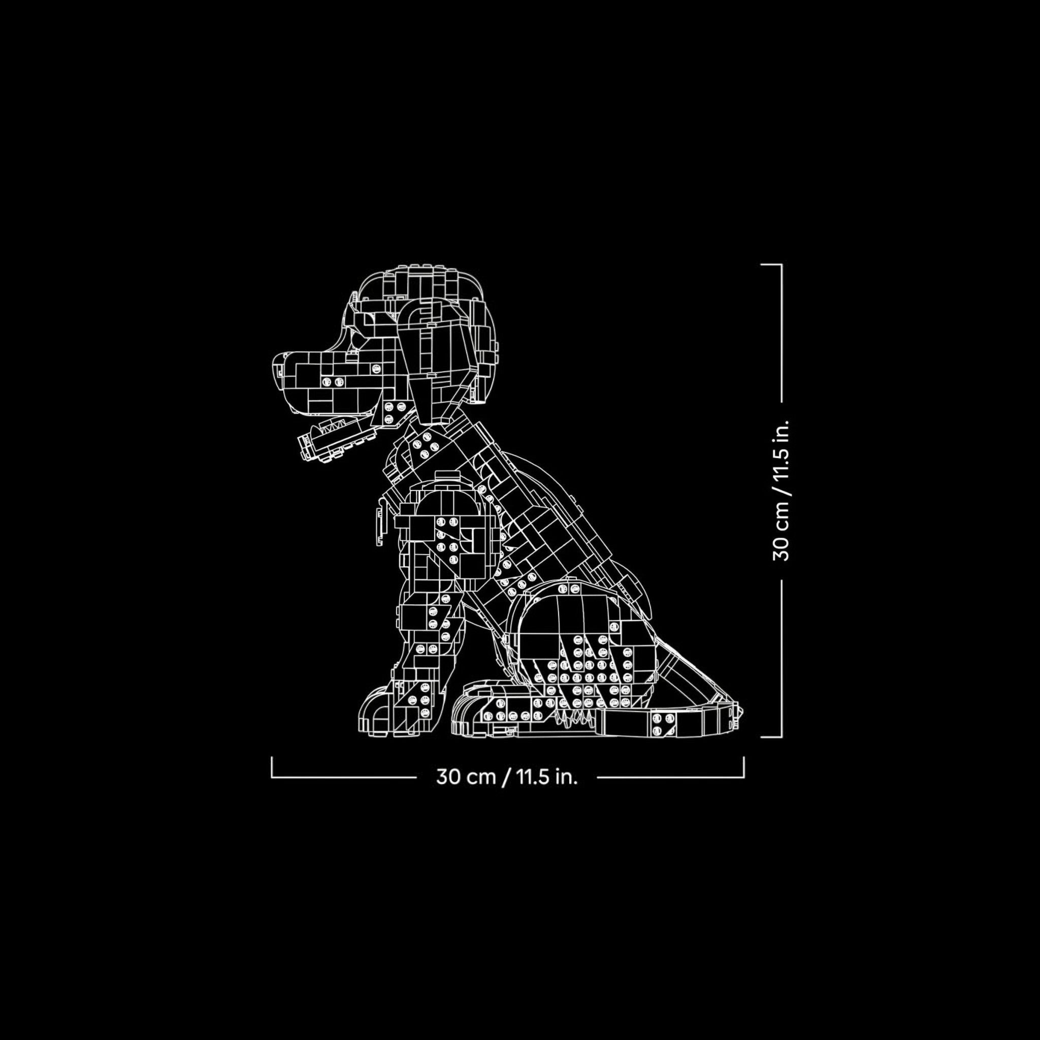 A Brick Apart LEGO Icons Golden Retriever Puppy model shown as a white line drawing on black with dimensions 30cm tall.