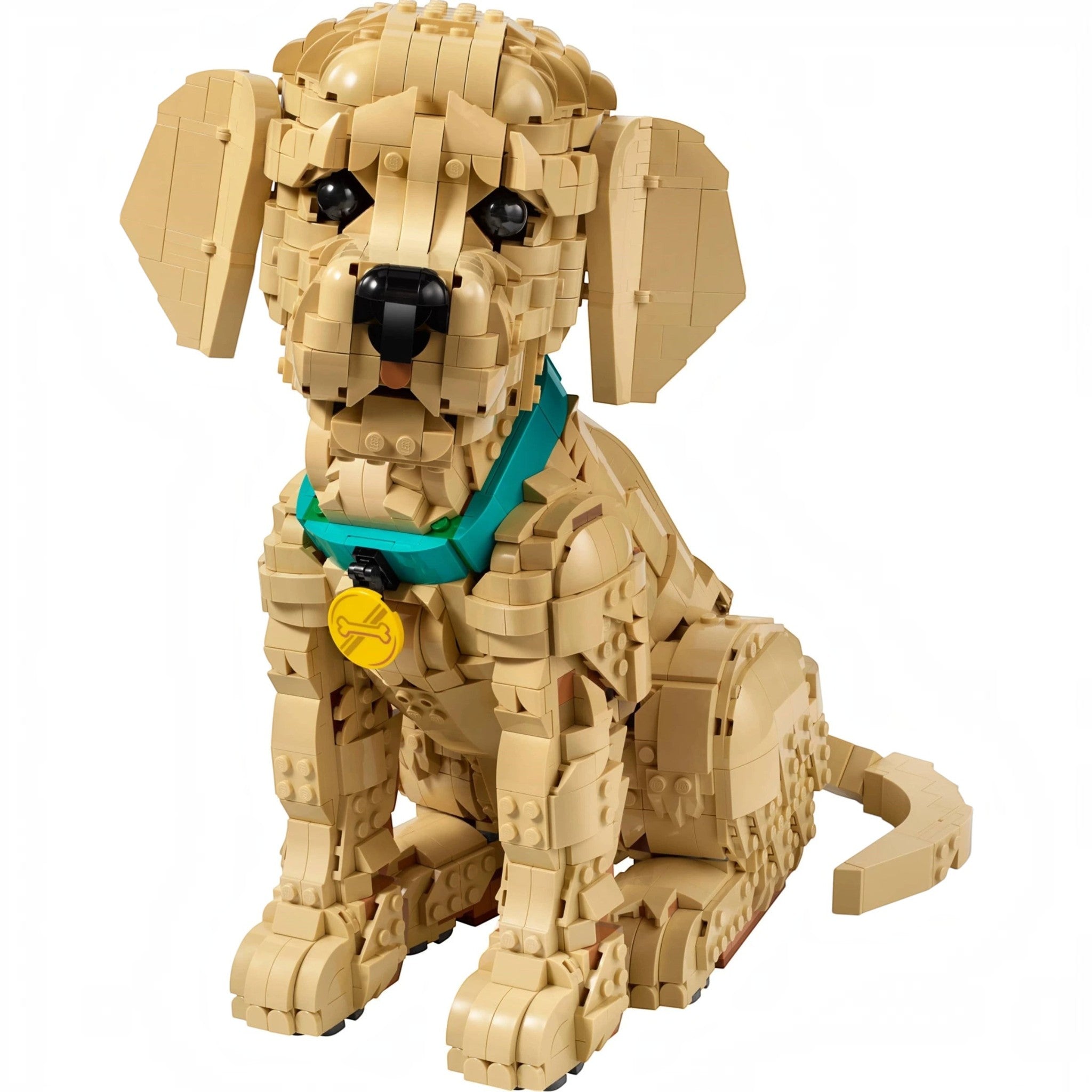A Brick Apart LEGO Icons Golden Retriever puppy model with a teal collar and yellow bone medallion, sitting down.