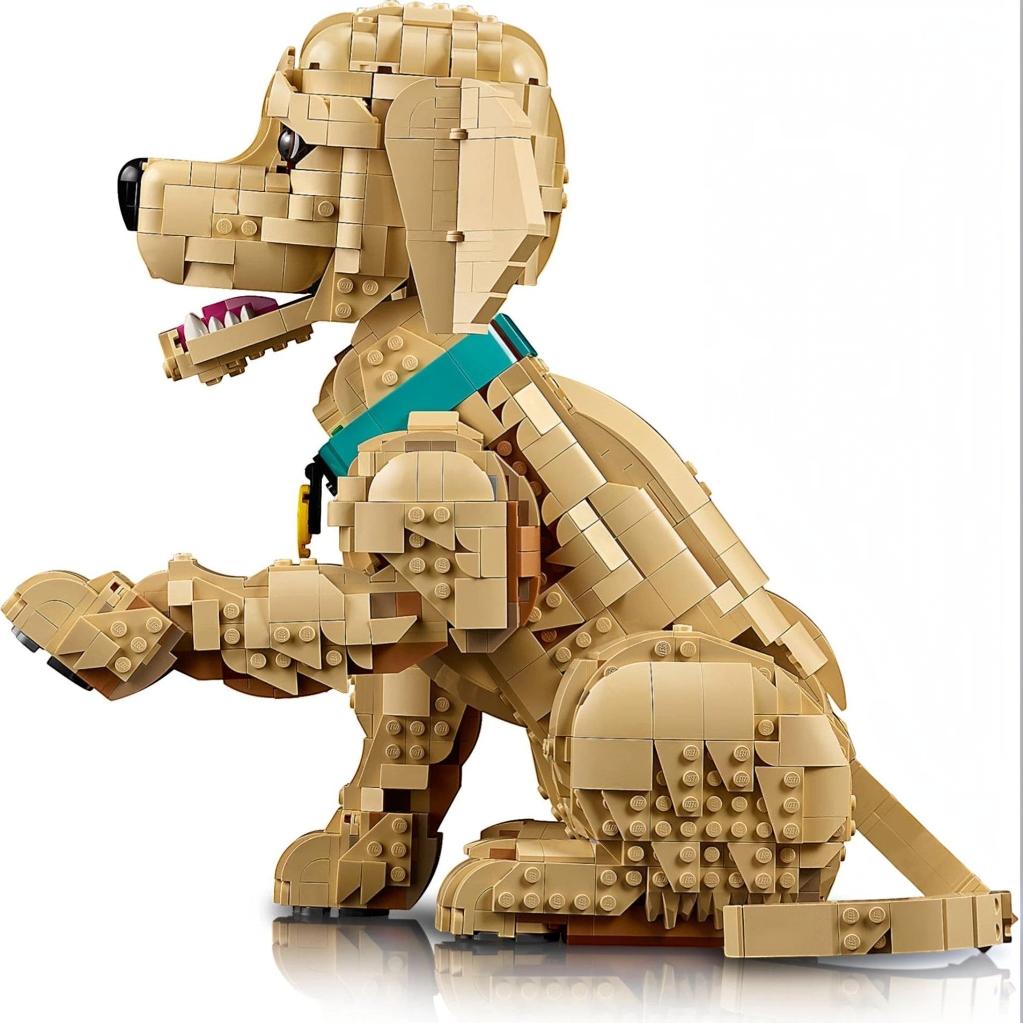 A Brick Apart LEGO Icons Golden Retriever puppy model with a teal collar and posable paw, head, and ears.