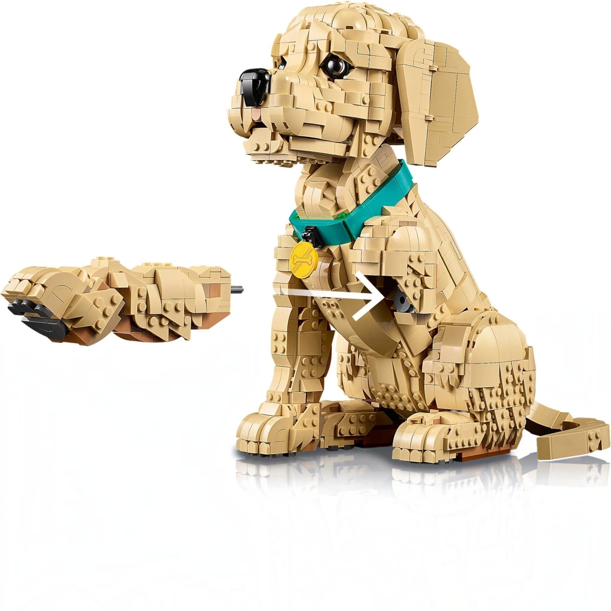 A Brick Apart LEGO Icons Golden Retriever puppy model with a teal collar and detachable paw showing posable features.