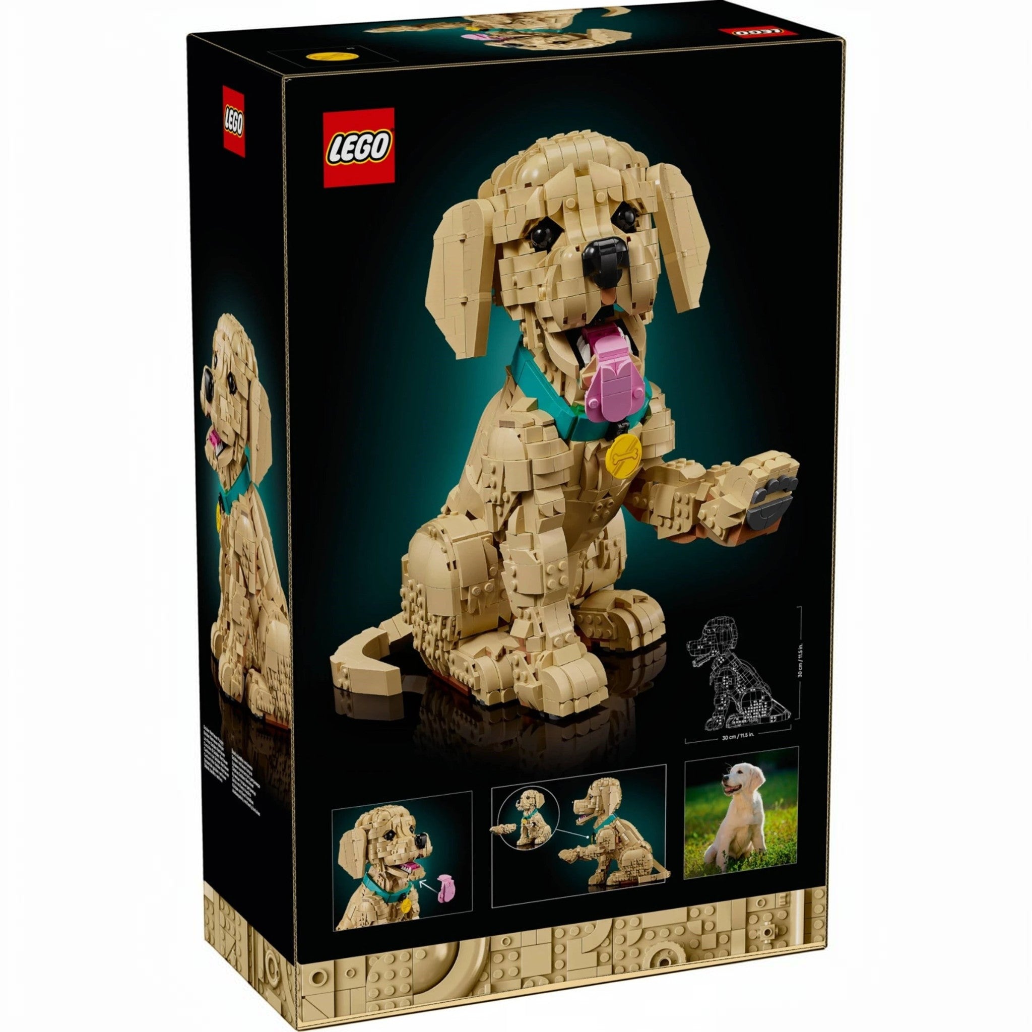 A Brick Apart LEGO Icons Golden Retriever Puppy building set box showing the posable tan dog model with a blue collar.