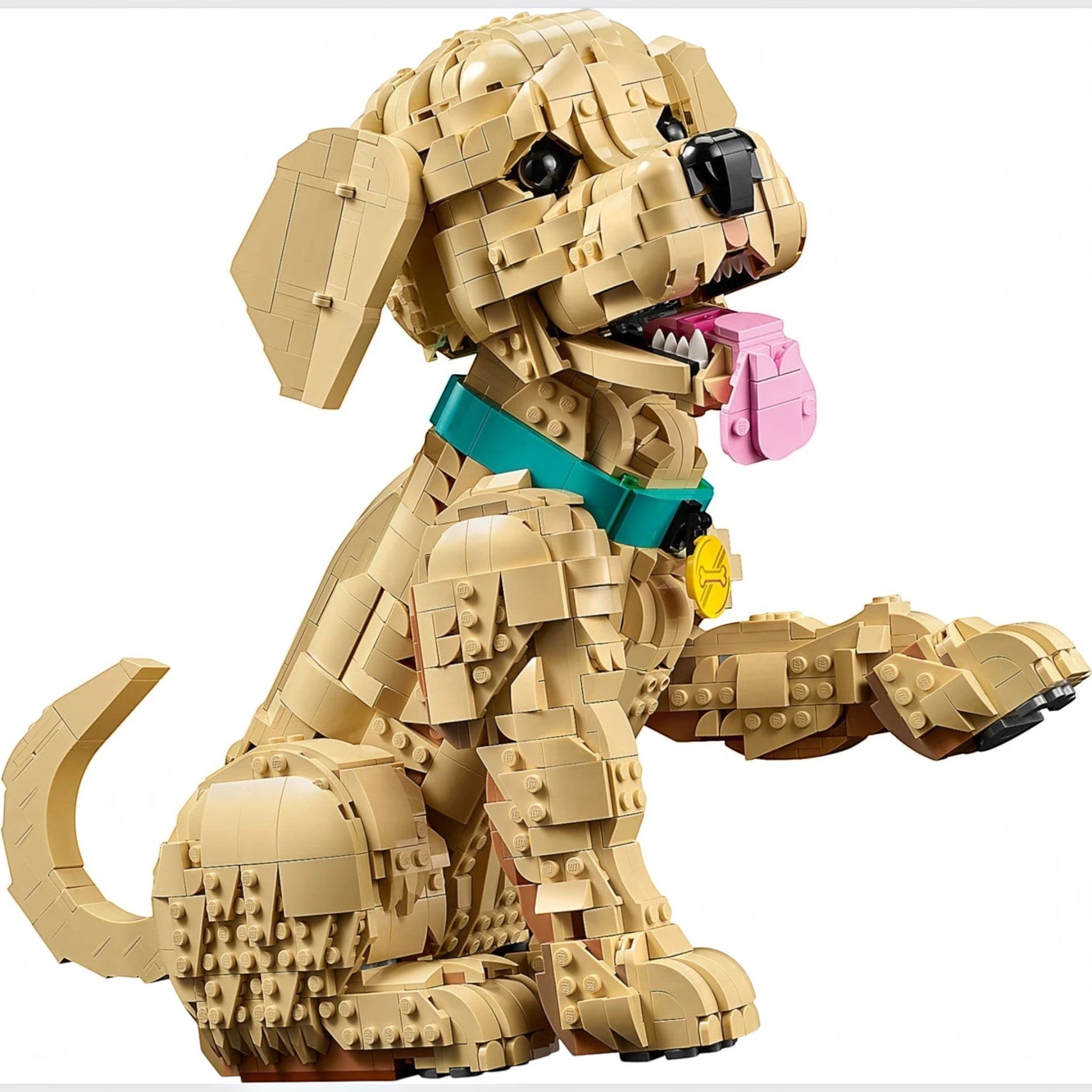 A Brick Apart LEGO Icons Golden Retriever puppy model with a teal collar, pink tongue, and posable limbs on white.