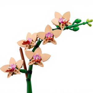 A Brick Apart LEGO Botanicals Mini Orchid building set featuring peach-colored flowers and green stems.