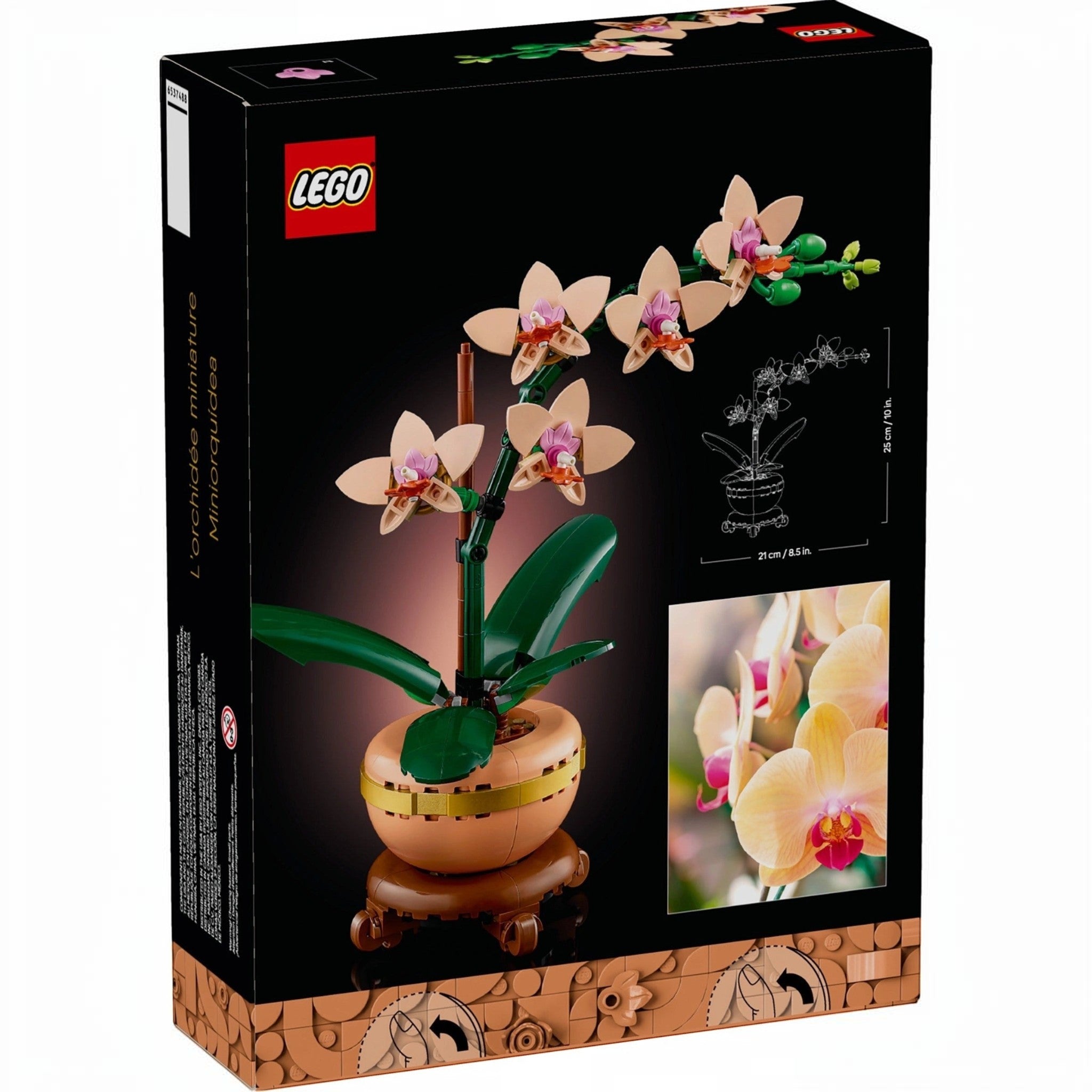 A Brick Apart LEGO Botanicals Mini Orchid set box featuring a peach-colored flower in a terracotta pot on a plinth.