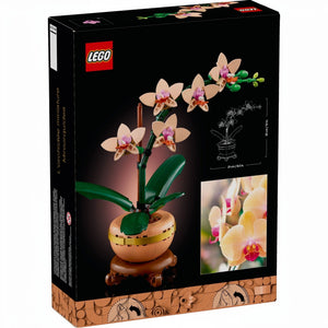 A Brick Apart LEGO Botanicals Mini Orchid set box featuring a peach-colored flower in a terracotta pot on a plinth.