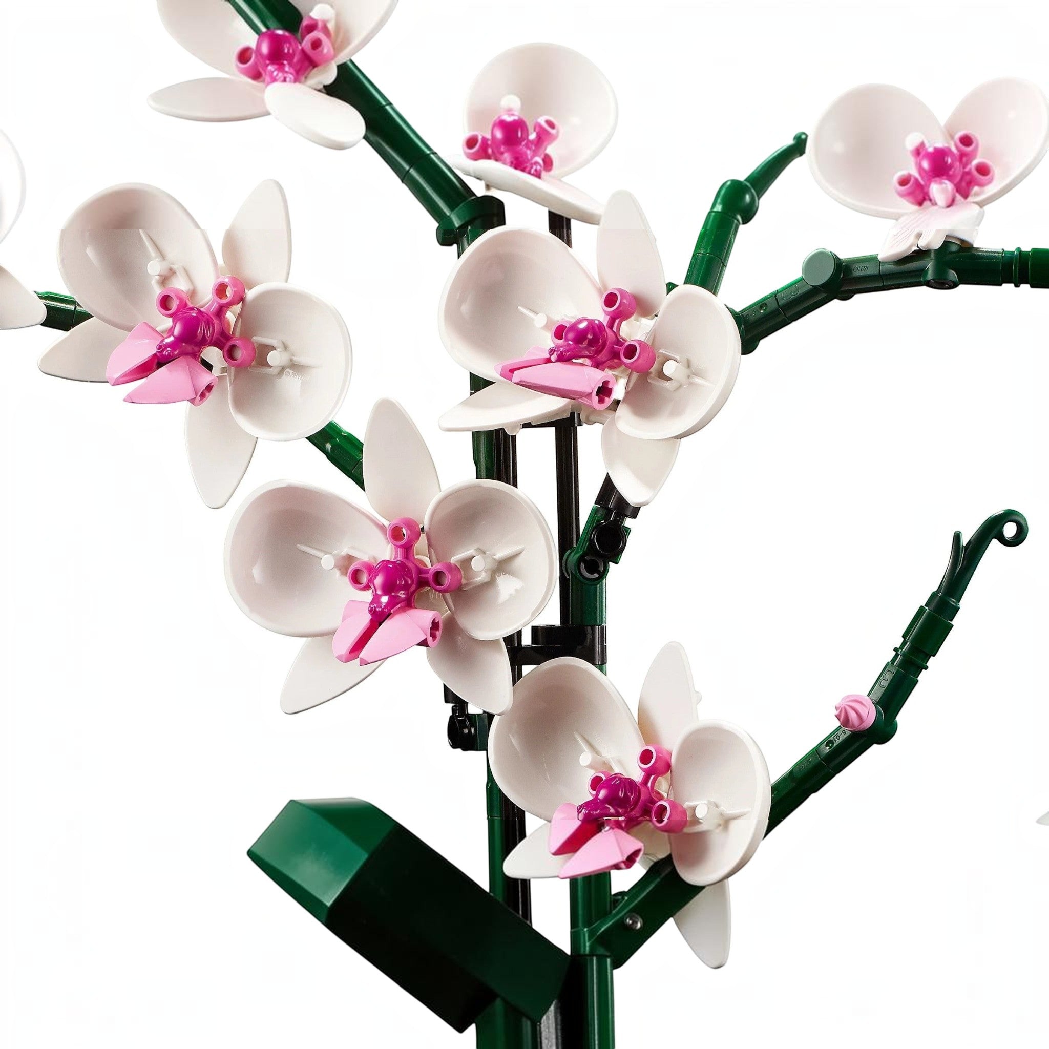 A Brick Apart LEGO Icons Orchid set featuring white and pink plastic flower blooms on green stems.