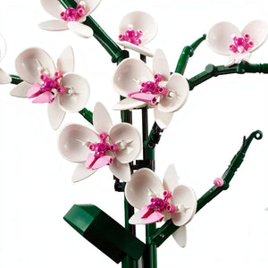 A Brick Apart LEGO Icons Orchid set featuring white and pink plastic flower blooms on green stems.