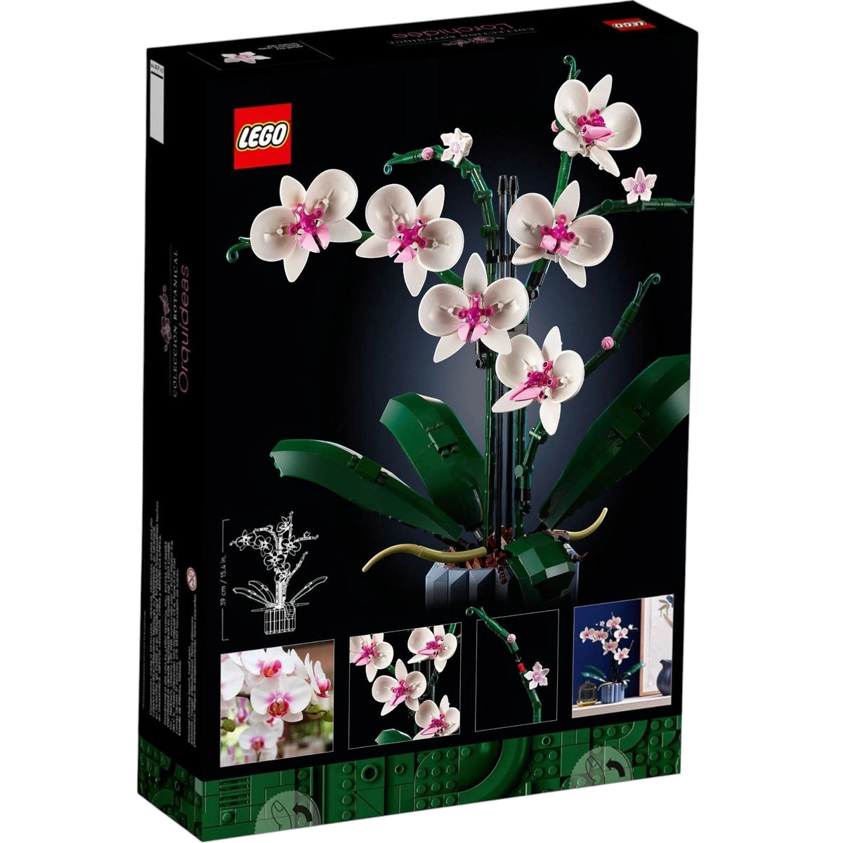 [box-back] A Brick Apart LEGO Icons Orchid set box featuring a white and pink floral model in a blue fluted vase.