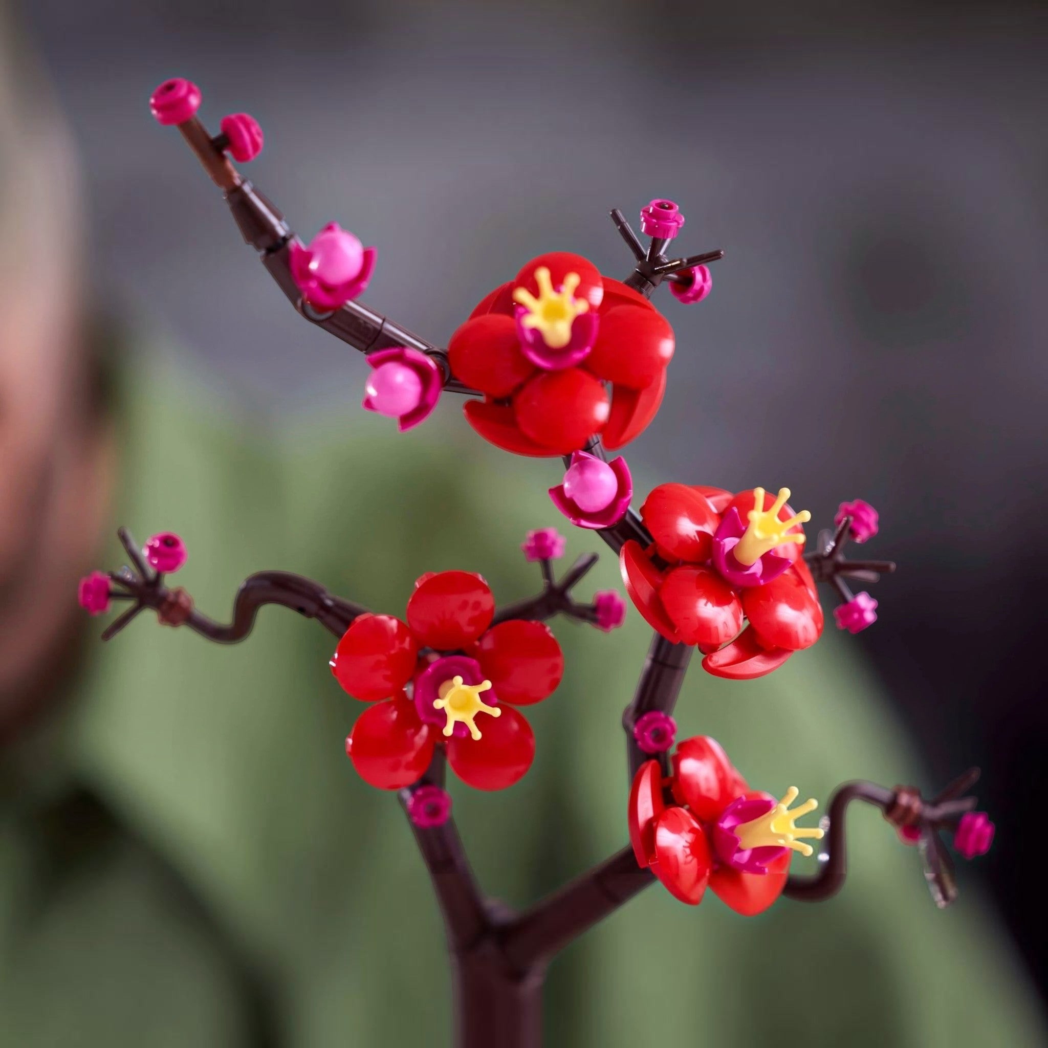 A Brick Apart LEGO Icons Plum Blossom set featuring vibrant red and magenta flowers on a dark brown woody stem.