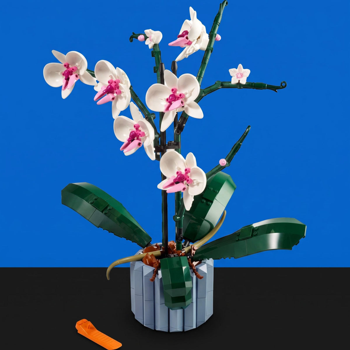 [built-blue-black] A built orchid plant model with white and pink flowers, dark green leaves, and a gray pot, photographed against a blue background with a black surface below. An orange piece lies near the bottom left.