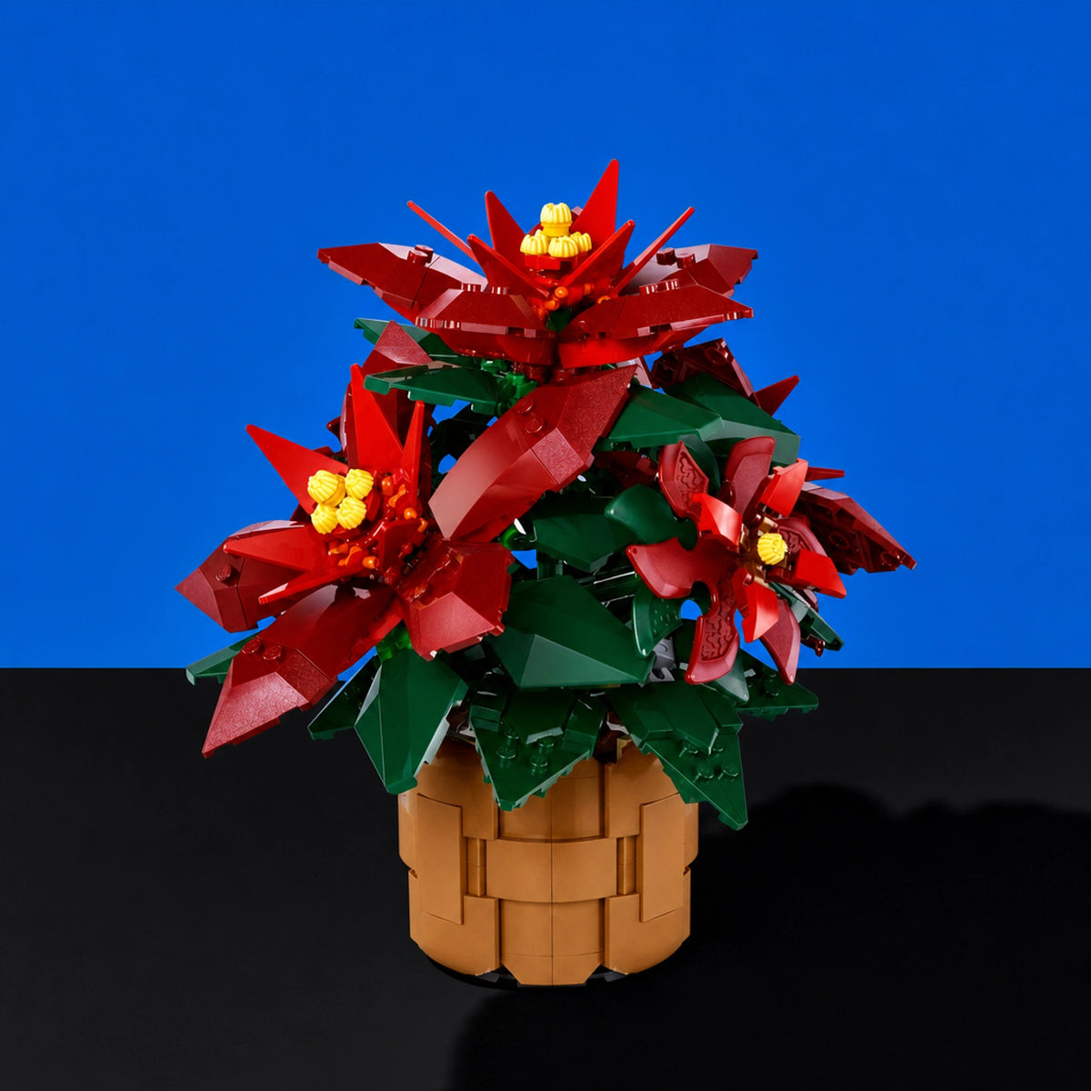[built-blue-black] A LEGO-style potted poinsettia plant with red flowers, green leaves, yellow centers, and a tan pot, photographed against a blue background with a black surface below.