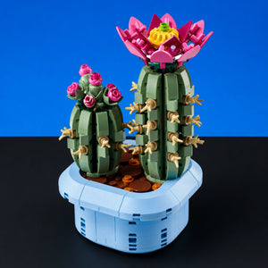 [built-blue-black] A LEGO-style decorative cactus and succulent set in a light blue pot, photographed on a two-tone black and blue studio background. The set includes two green cactus-like plants with pink flowers, tan spines, brown faux soil, and a blue container.