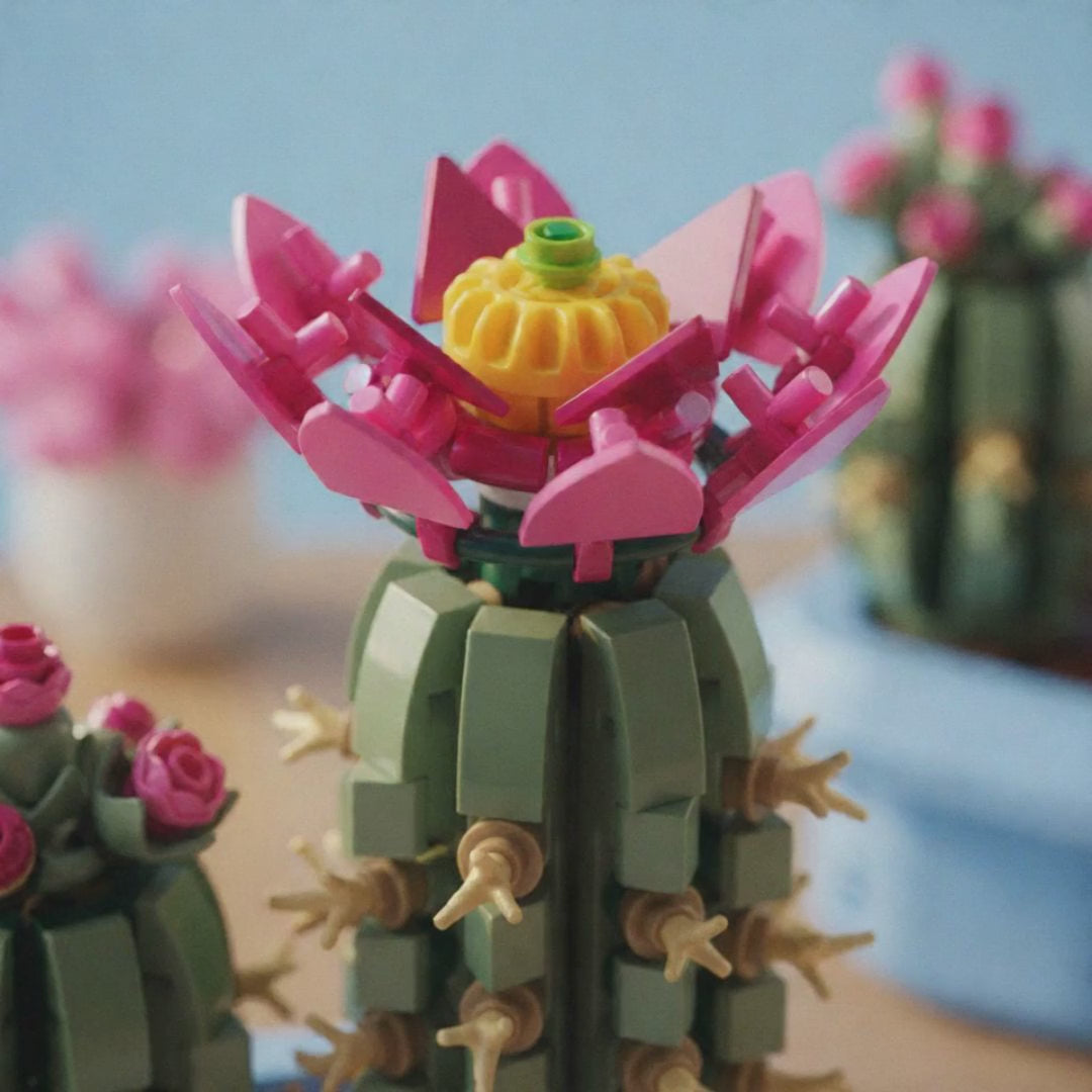 LEGO 11509 animation
