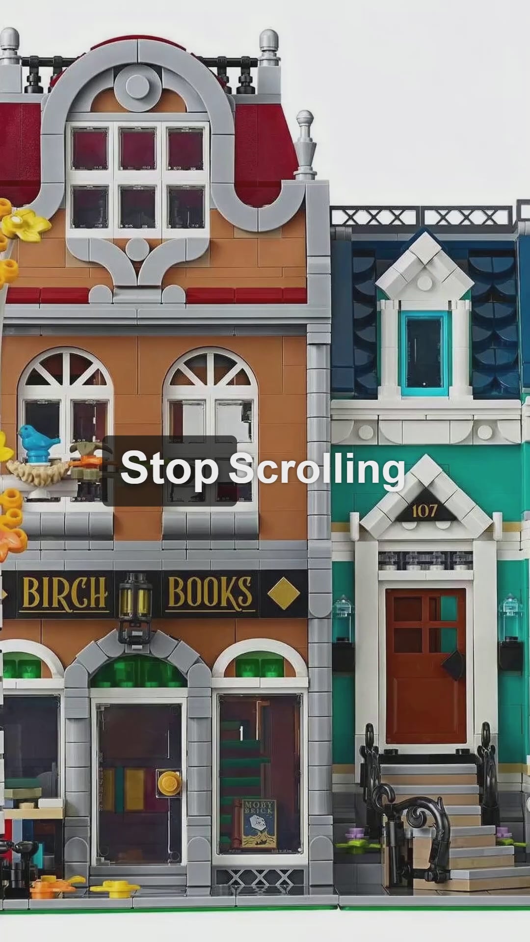 A short video of the bookshop with a bird chirping