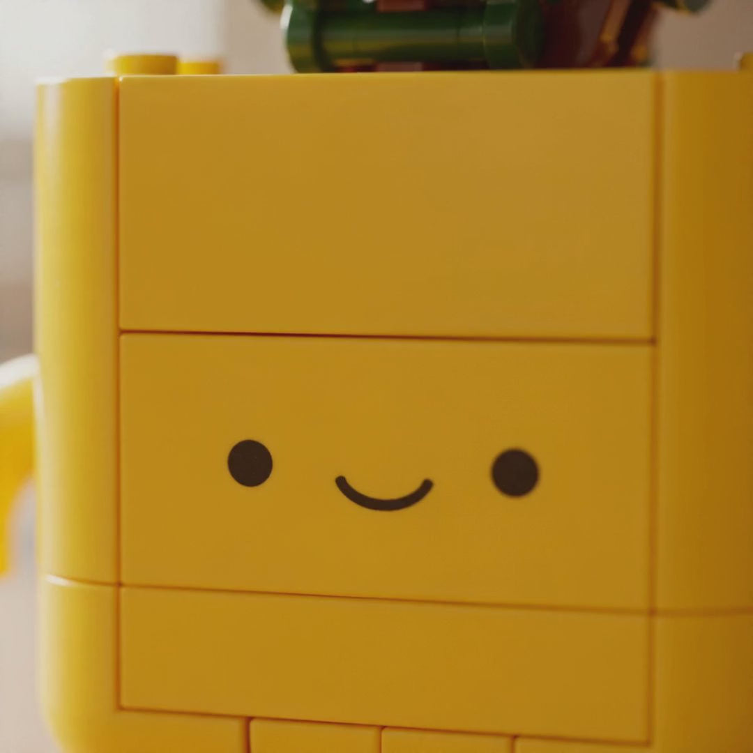 LEGO  set video
