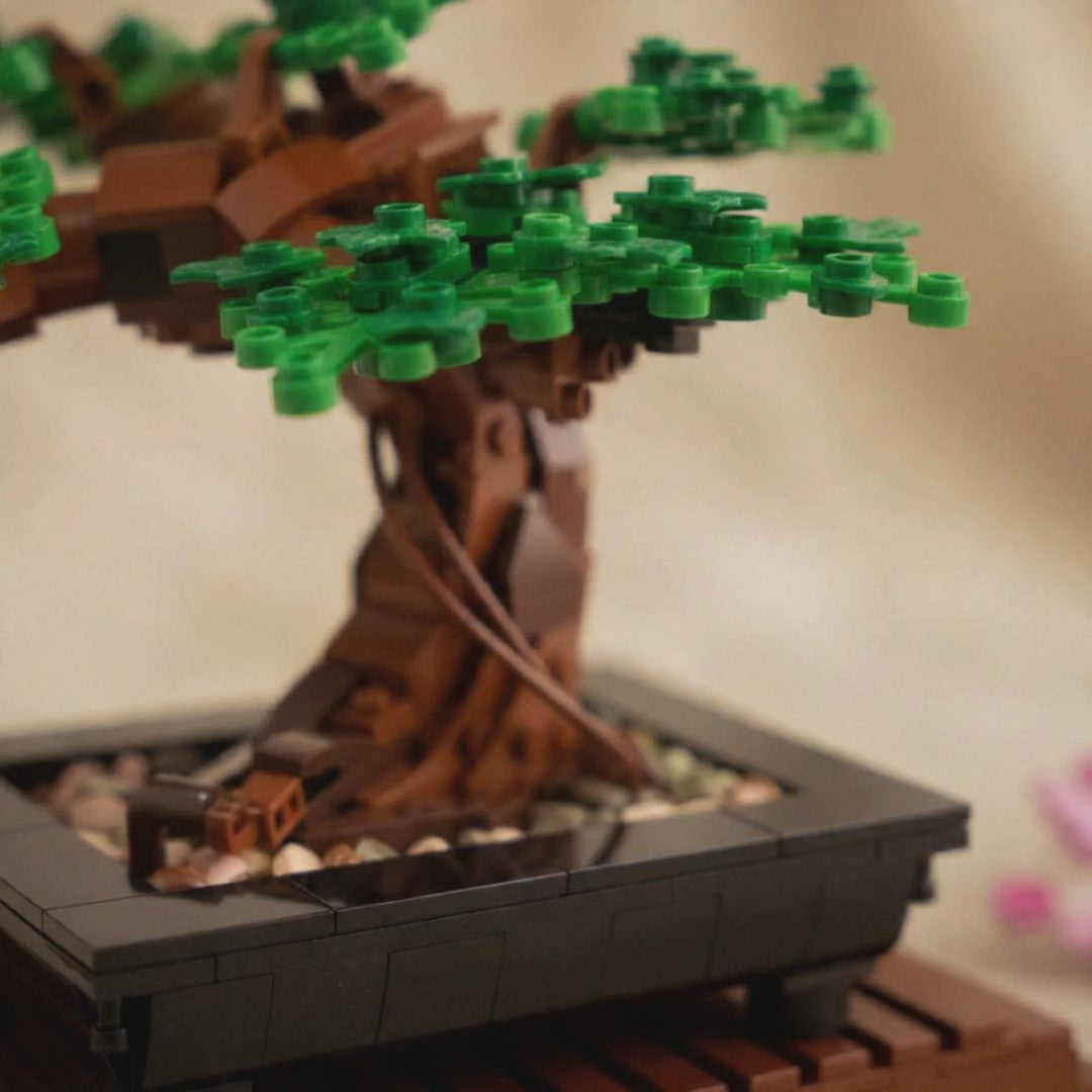LEGO 10281 animation